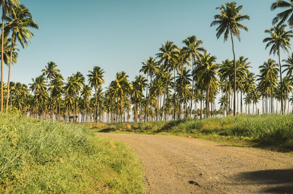 Fiji Travel Pro travel experience